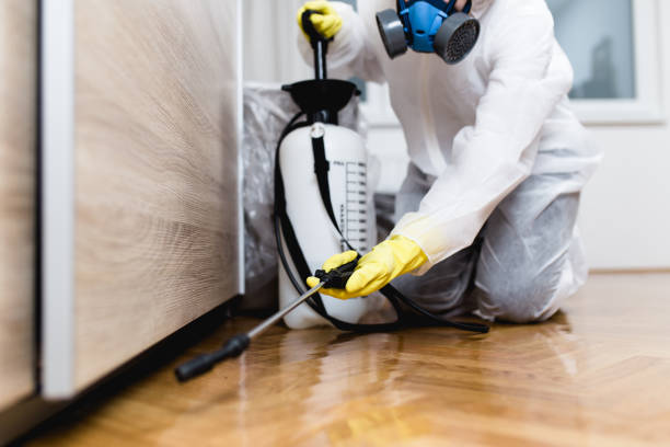 Best Exterminator Services  in Mino Tassajara, CA