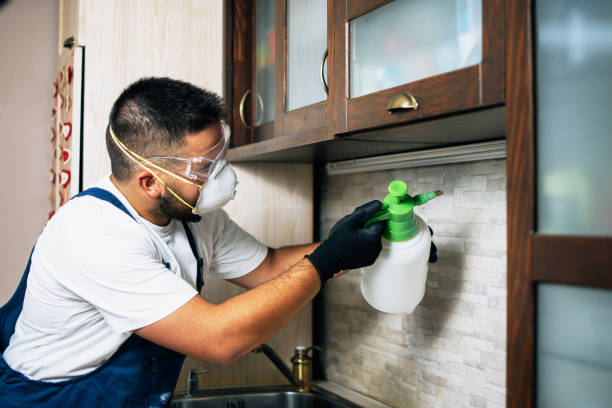Best Residential Pest Control  in Mino Tassajara, CA