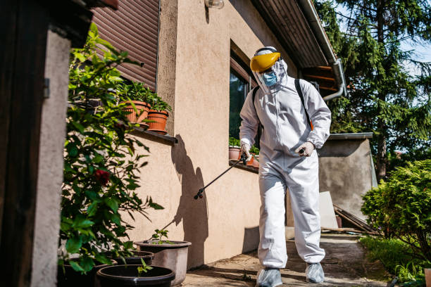 Best Commercial Pest Control Services  in Mino Tassajara, CA