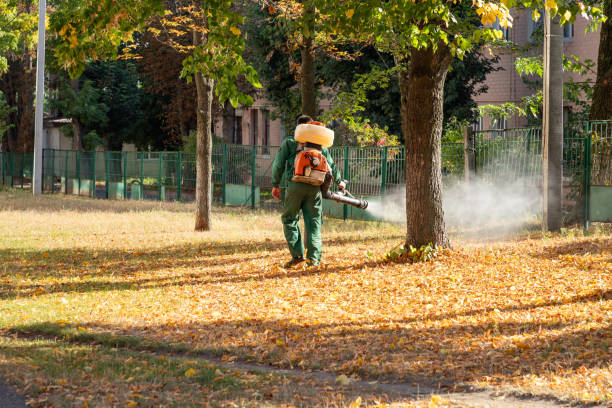 Best Insect Control  in Mino Tassajara, CA