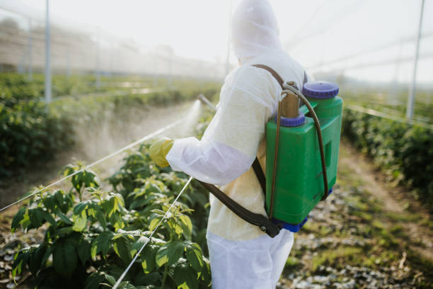 Best Mosquito Control Services  in Mino Tassajara, CA